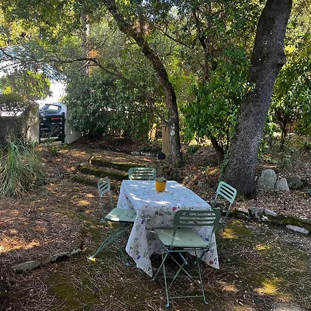 La Petite Maison Du Moulleau Αρασόν